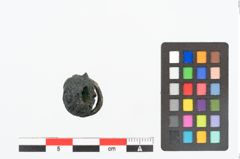 Foto von Bronzering (NHMW-PRAE-025204)